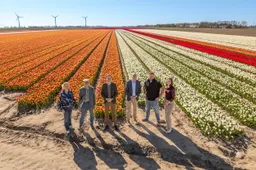 Rabobank-Tulpenroute-TulpenfestivalNOP_©David-Verolme
