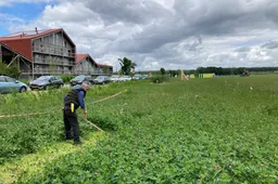20260615_Landelijke maaidag groot succes