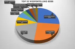 Top 10 wespentelling 2026