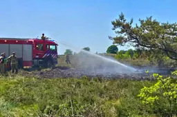heidebrand frusselt vierhouten (3)