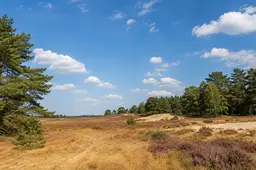 heide natuur weer