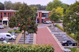 Lidl winkelwagen parkeervak