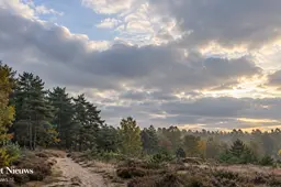 AI-illustratie bij het weer in Nunspeet: wolkenlucht boven een bosrand en zandpad