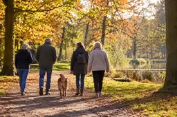 Samen wandelen in een herfstpark; AI-gegenereerde illustratie