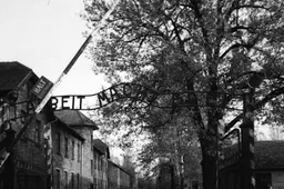 Schermafbeelding 2025-12-11 181508