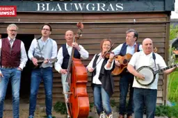blauwgras