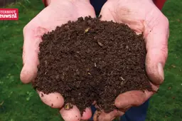 compost