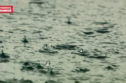 regen