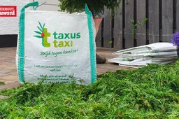 taxus taxi