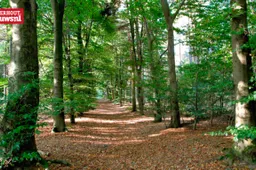 landgoed oosterheide