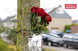 rozen loevensteinlaan