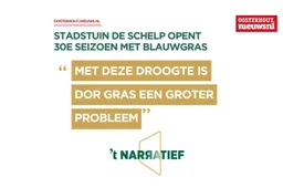narratief
