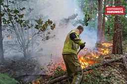 brandbos5