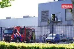 _Brand Dalco3