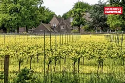 _Wijn Catharinadal