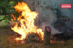 _Bosbrandje Leeuwenhoeklaan