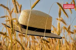 _Zomer