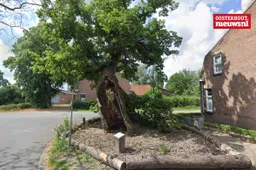 _Heilige Eik