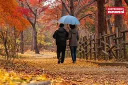 _herfst regen paraplu