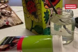 _Creatief schilderen bunthoef