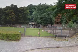 _Toontjes Weide 2017