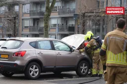 _autobrand Schapendries