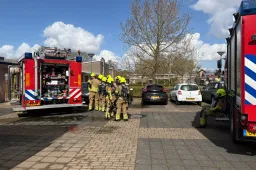 c182b3ea-51a9-44fe-9a18-b93967843abf