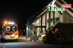 _Haasje2