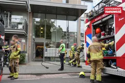 _Brand Stuve2