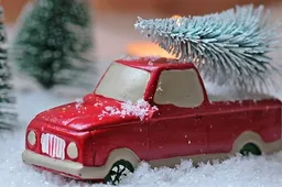 kerstboom halen pixel2013 pixabay