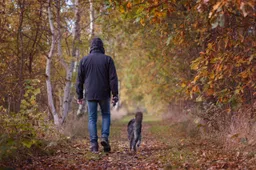 Herfstwandeling Schroederhund Pixabay