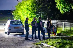 04-08 Elst kat breekt in