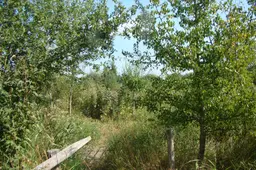 afbeelding bij bericht 16 aug