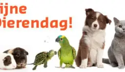 dierendag e1507041480921 300x147