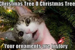 Afbeelding van WhatsApp op 2025-12-11 om 09.50.43_41aa8e7b