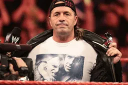 bret hart 7