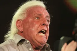 wwe ric flair 1