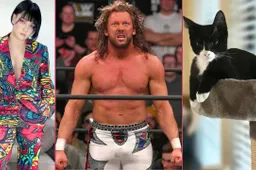 kenny omega hikaru katze