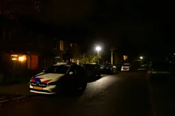 2DwzBByi