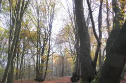 20260104 Nieuwjaarswandeling_Piet Fleuren