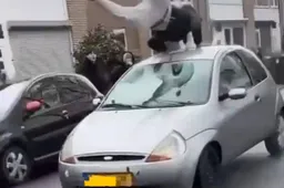 Afbeelding van WhatsApp op 2025-12-02 om 16.46.50_a768adbe