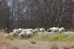 Natuur onder de loep -Piet Fleuren