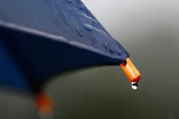 regen piqsels