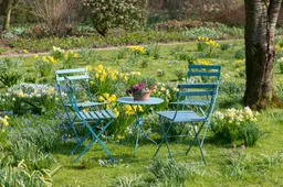 voorjaar theo van liempt