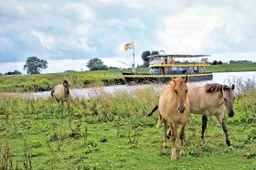Palmerswaard 12