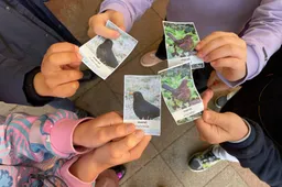 Vogelspotters