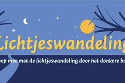 banner2-lichtjeswandeling2025