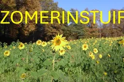 logo zomerinstuif