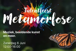 Talantfeest top