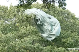 18-09 Parachutist in de boom (4)
